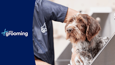 Petco Grooming logo – Pet groomer in Olive Branch, MS