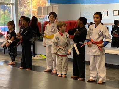 American Junior Ninja Summer Camp-Taekwondo University logo – Summer camp organizer in Olive Branch, MS