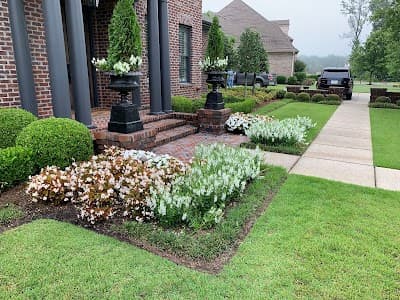Charter Vista Landscaping logo – Landscaper in Olive Branch, MS