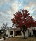 Southern VIP & Foot Rescue Surgery Center, Olive Branch, MS logo