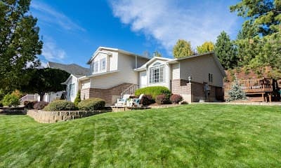 A New Image Property Maintenance logo – Tree service in Olive Branch, MS